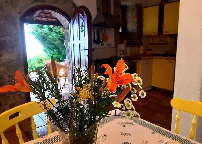 Kuca Kata - Nono 別荘 Veprinac