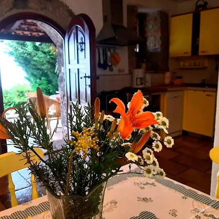 Kuca Kata - Nono Ferienhaus Veprinac